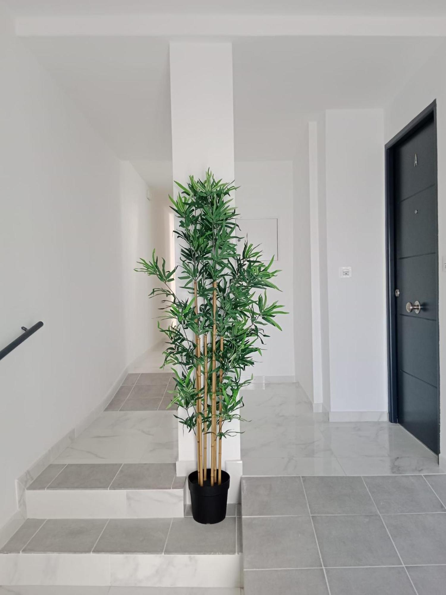 Apartamento Gloria Bendita Jerez de la Frontera Dış mekan fotoğraf
